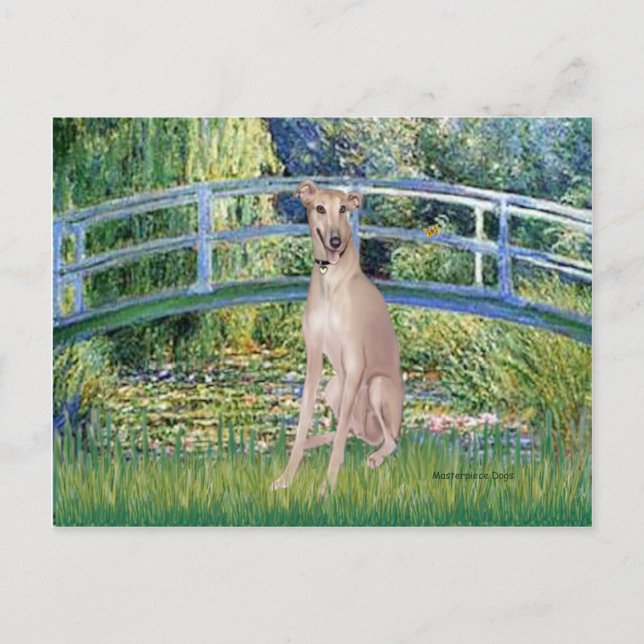 Greyhound (fawn 2) - Bridge Postcard (Front)