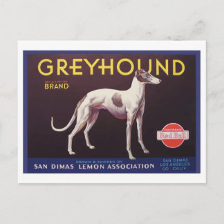 Greyhound Fruit Crate Label Postcard
