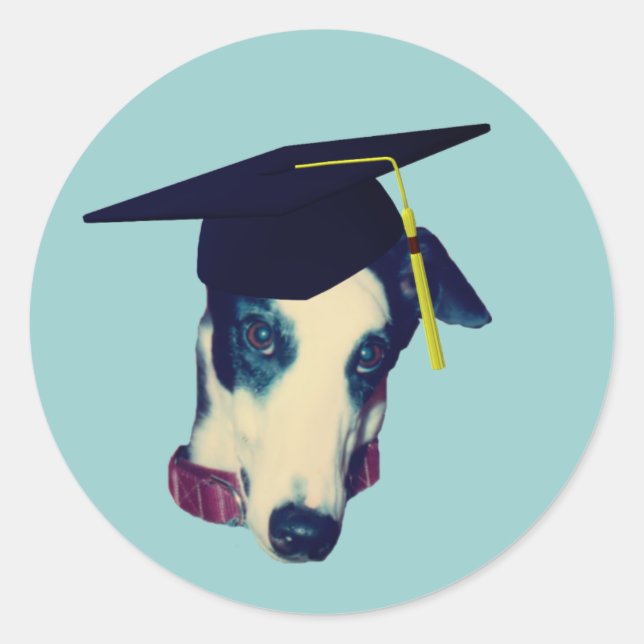 Greyhound Graduation Cap Funny  Classic Round Sticker (Front)