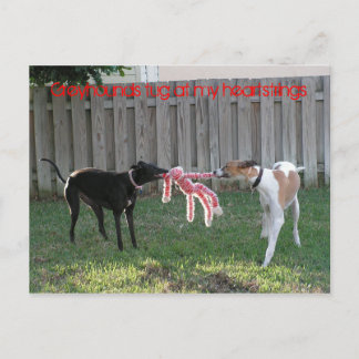 Greyhound heartstrings postcard