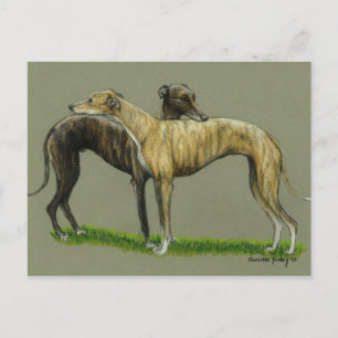 "Greyhound Hug" Dog Art Postcard