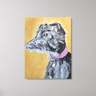 Greyhound in Pink Collar Canvas Print