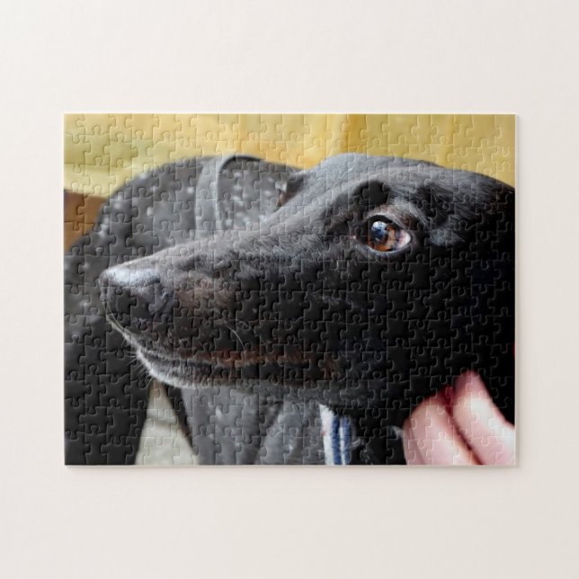 Greyhound jigsaw puzzle (Horizontal)