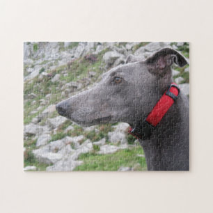 Greyhound jigsaw puzzle (p105) Casey