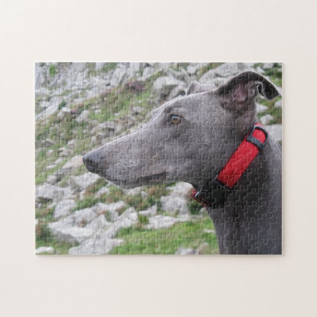 Greyhound jigsaw puzzle (p105) Casey (Horizontal)