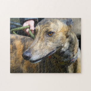 Greyhound jigsaw puzzle (p289)