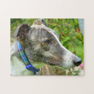Greyhound jigsaw puzzle (p400) Harley