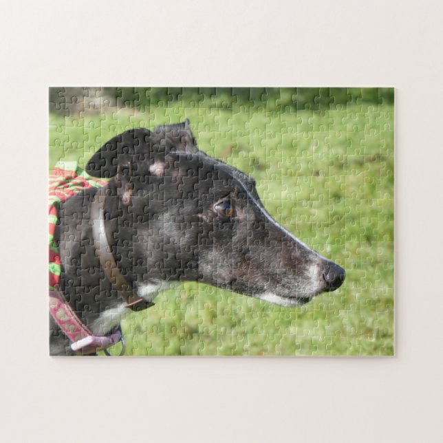 Greyhound jigsaw puzzle (p498) (Horizontal)