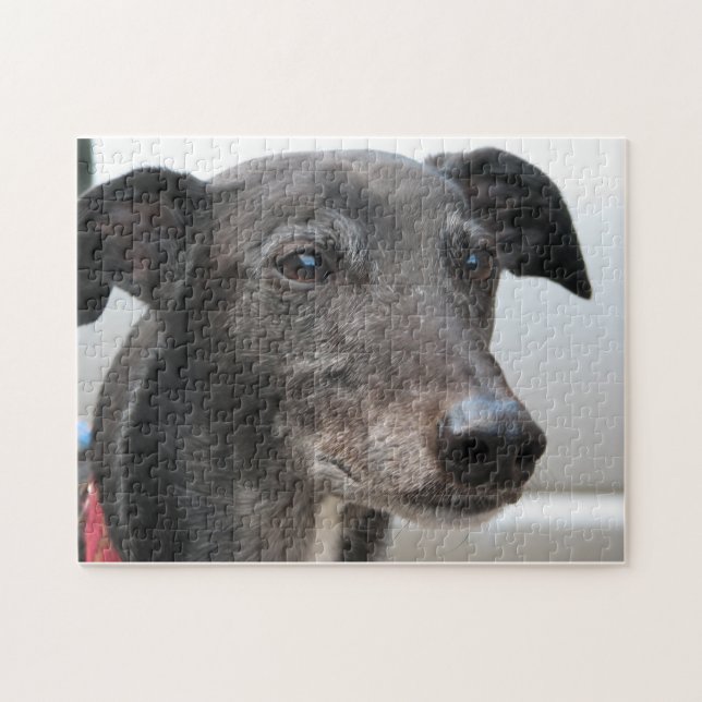 Greyhound jigsaw puzzle (p99) Diesel (Horizontal)