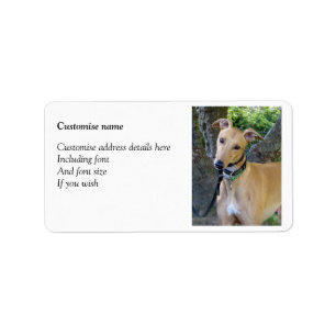 Greyhound labels (p85)
