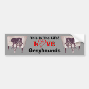 Greyhound Love This Is The Life Cute  Bumper Sticker
