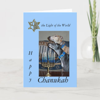 Greyhound Messianic chanukah card