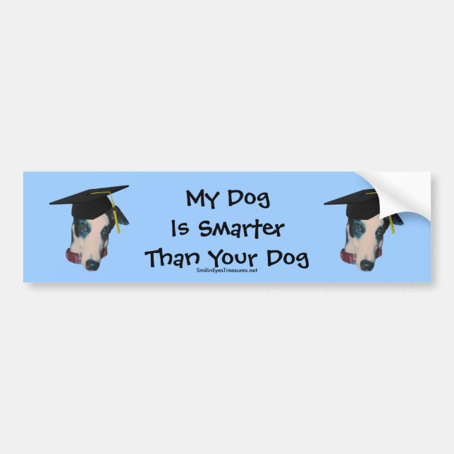 Greyhound My Dog Smarter Than Funny Bumper Sticker (Front)