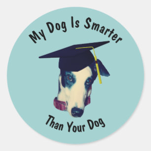 Greyhound My Dog Smarter Than Your Dog Funny  Classic Round Sticker