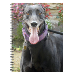 Greyhound notebook