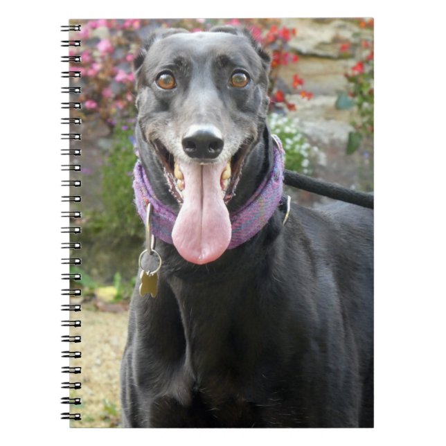 Greyhound notebook (Front)