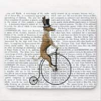 Greyhound on Black Penny Farthing Bike