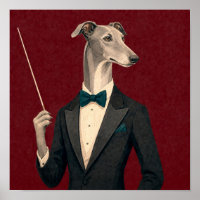 Greyhound Orchestra Conductor Wearing Tuxedo and B