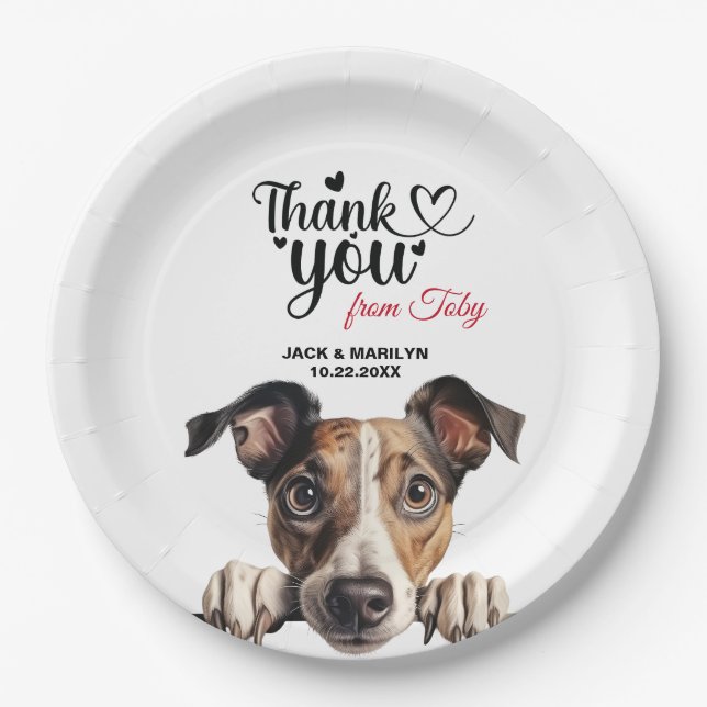 Greyhound Paper Plate (Front)