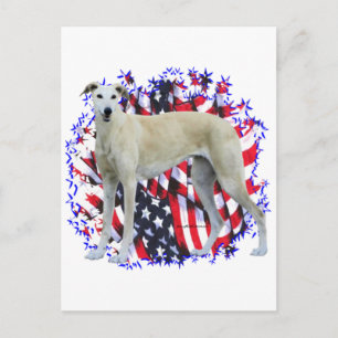 Greyhound Patriot Postcard