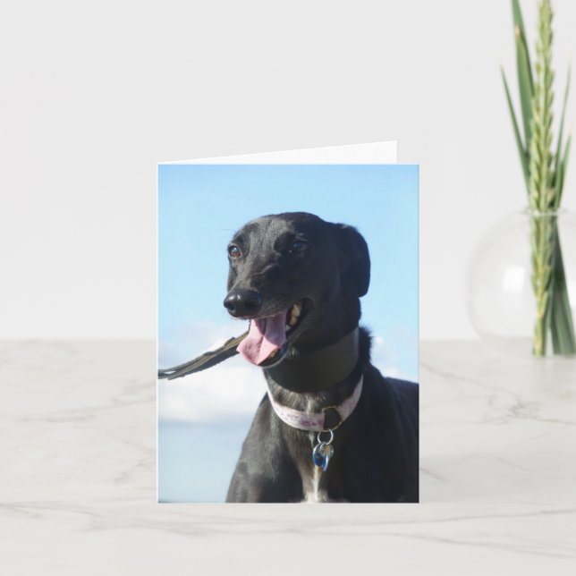 Greyhound photocard (p11) card (Front)