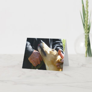 Greyhound photocard (p284) card