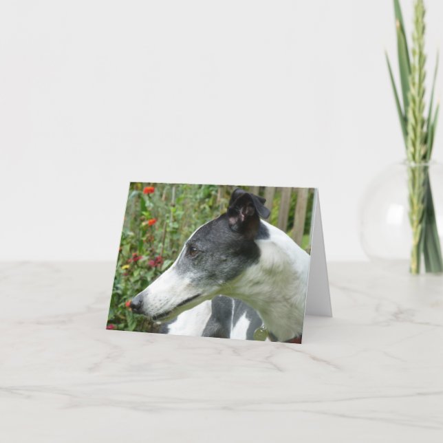 Greyhound photocard (p5) card (Front)