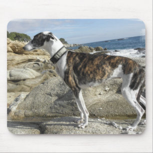Greyhound Photographs Mouse Pad
