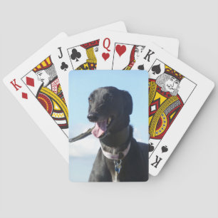 Greyhound playing cards (4)