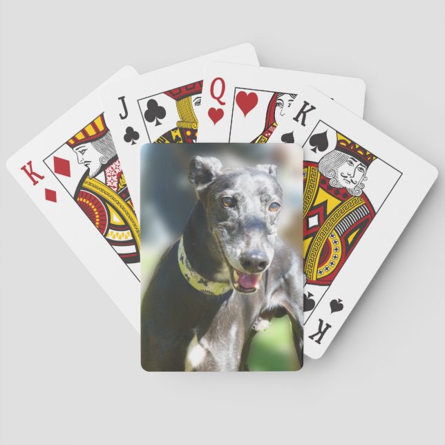 Greyhound playing cards (p300) (Back)
