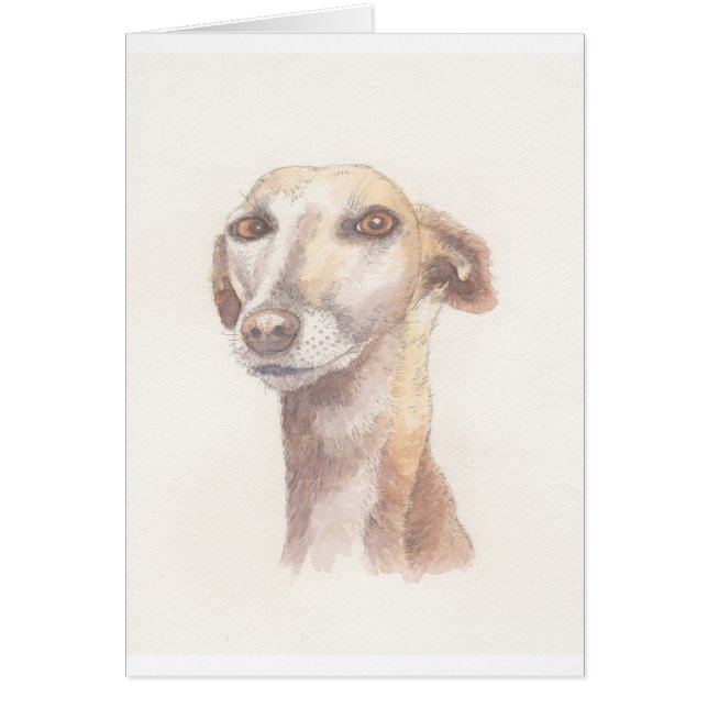 Greyhound portrait (Front)