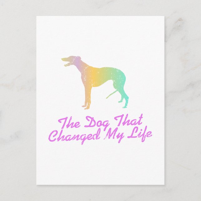 Greyhound Postcard (Front)