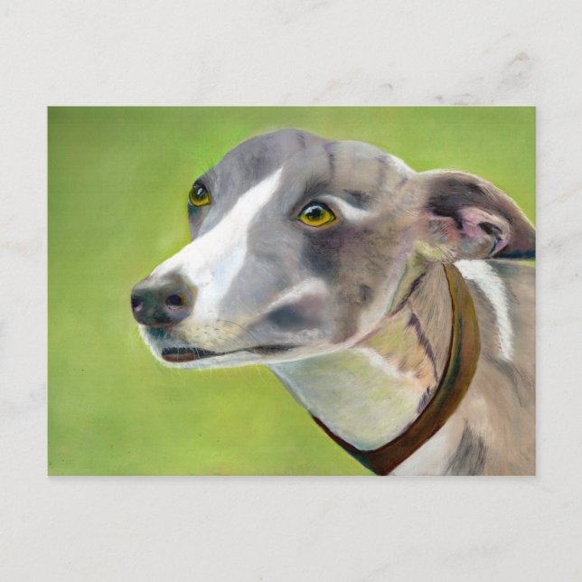 Greyhound postcard (a404) (Front)