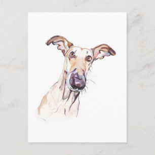 Greyhound Postcard, Dog Illustration Postcard