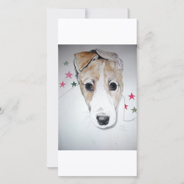 Greyhound Puppy (Front)