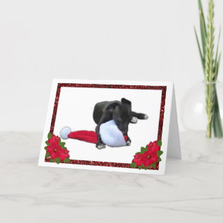 Greyhound Puppy Chewing Santa Hat Christmas Holiday Card