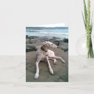 Greyhound Puppy Dog Blank Note Card
