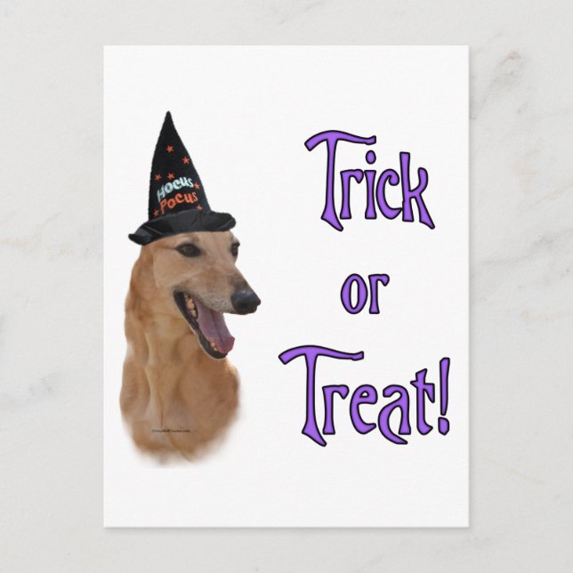 Greyhound (red) Trick Postcard (Front)