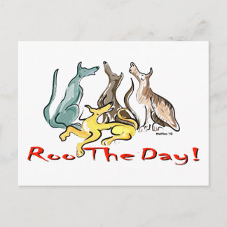 greyhound roo postcard