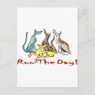 greyhound roo postcard