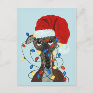 Greyhound Santa Tangled In Christmas Lights Postcard