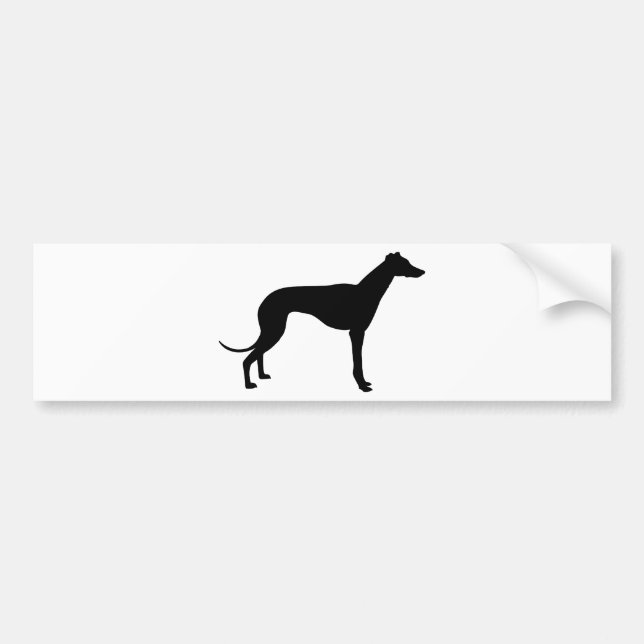 Greyhound Silhouette Bumper Sticker (Front)