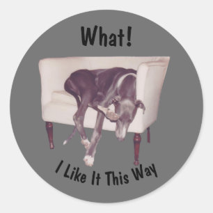 Greyhound Sleeping In Chair Funny Classic Round Sticker