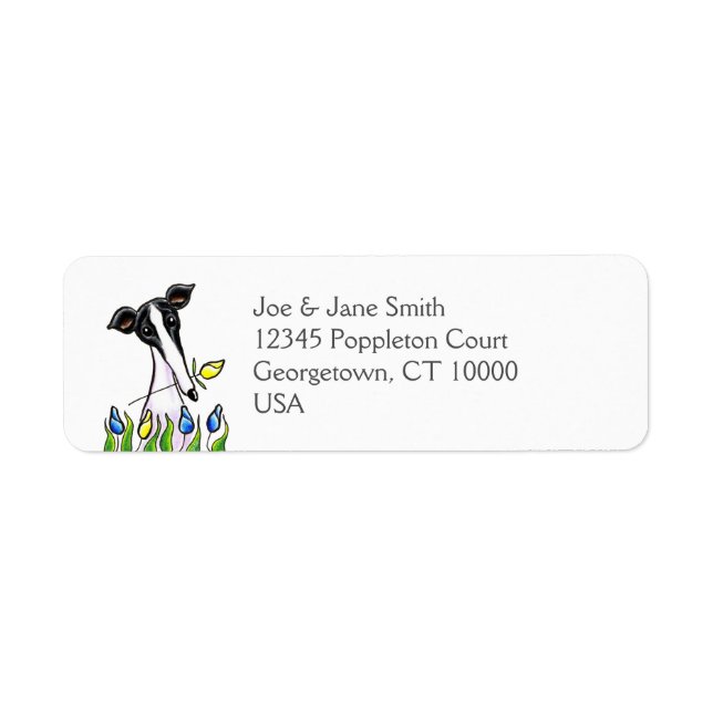 Greyhound Sweethee Blanc (Devant)