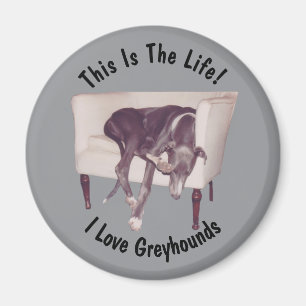 Greyhound This Is The Life Magnet