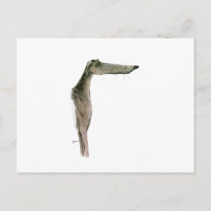 Greyhound, tony fernandes postcard