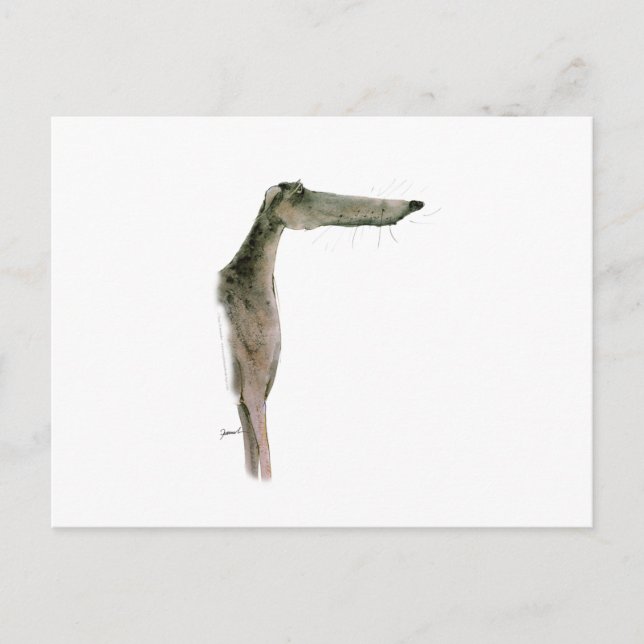 Greyhound, tony fernandes postcard (Front)