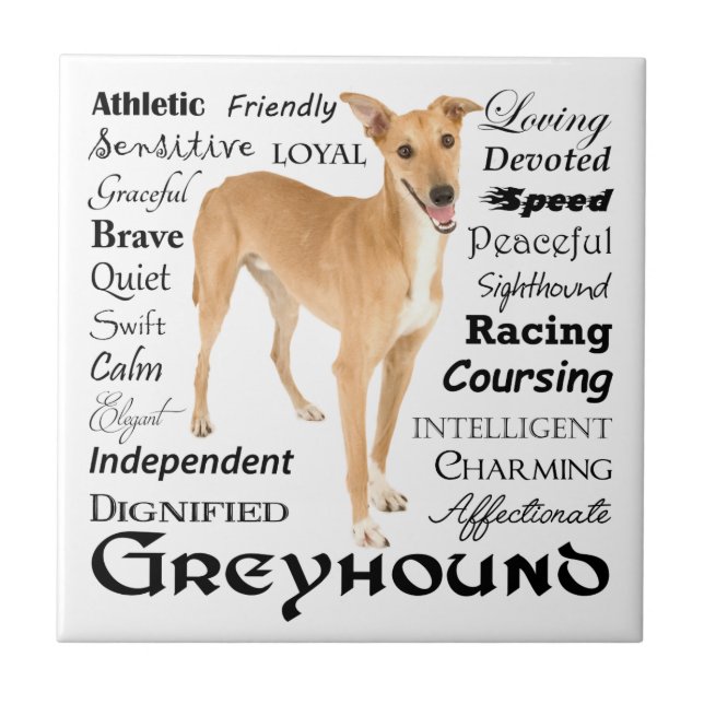 Greyhound Traits Tile (Front)