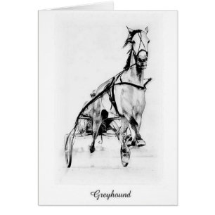 Greyhound Trotter