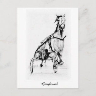 Greyhound Trotter Postcard